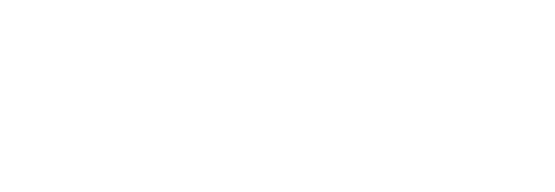 Zeppelin logo