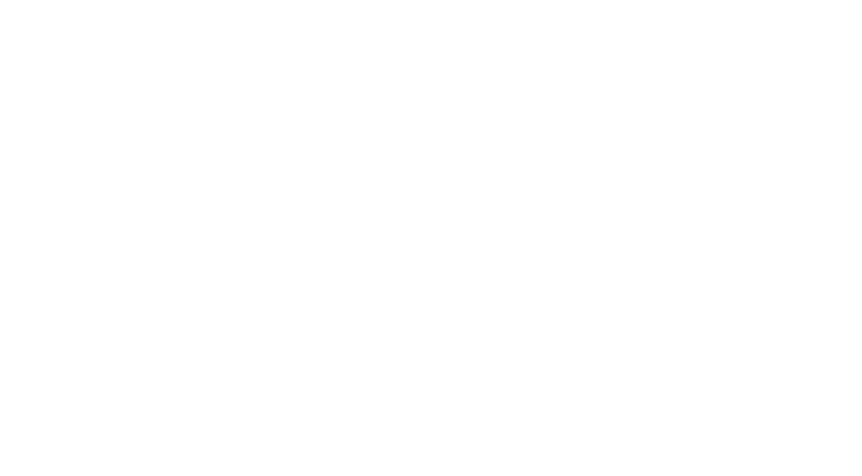 Christopher Strong logo