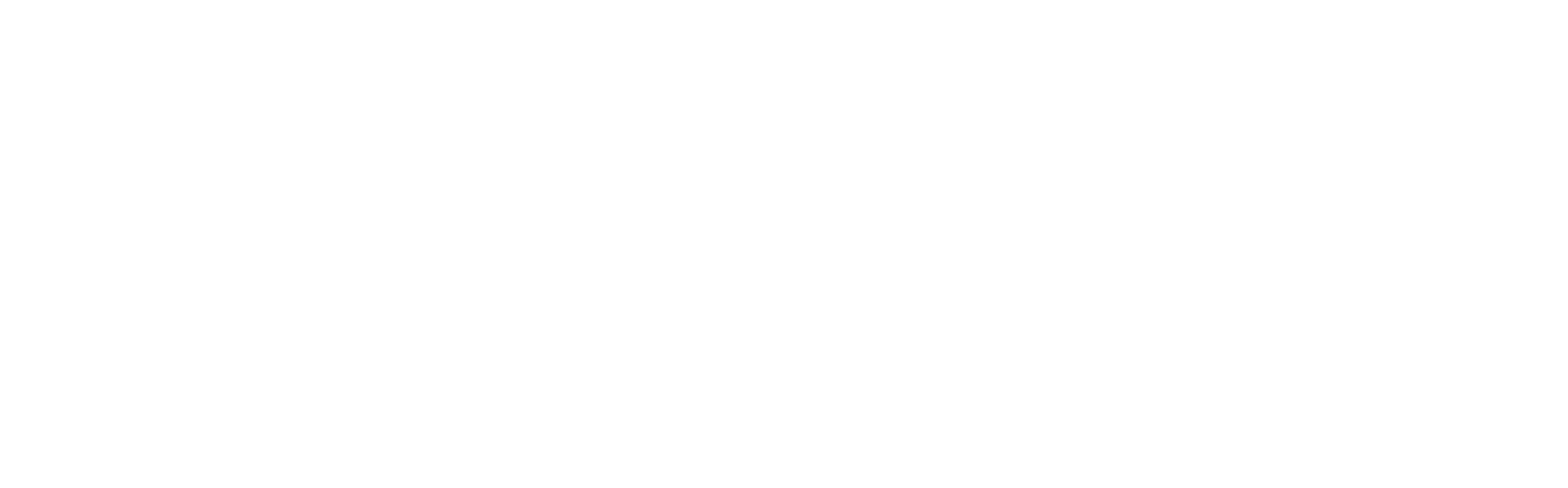Footloose logo