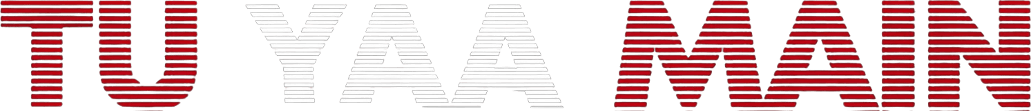 Tu Yaa Main logo