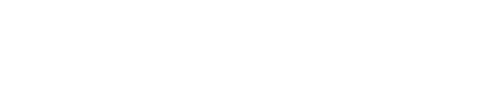 The Endurance logo