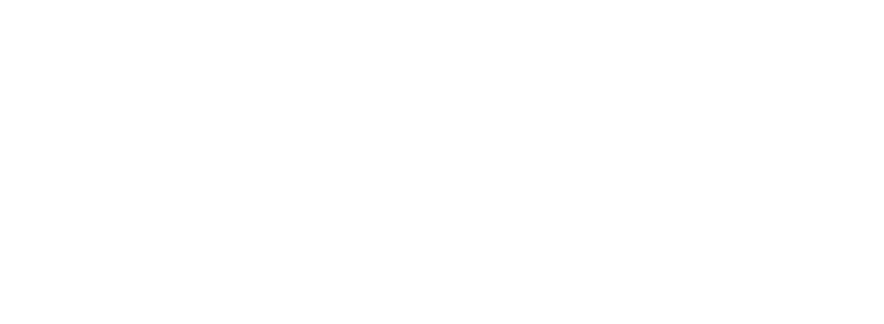 Way of the Warrior Kid logo