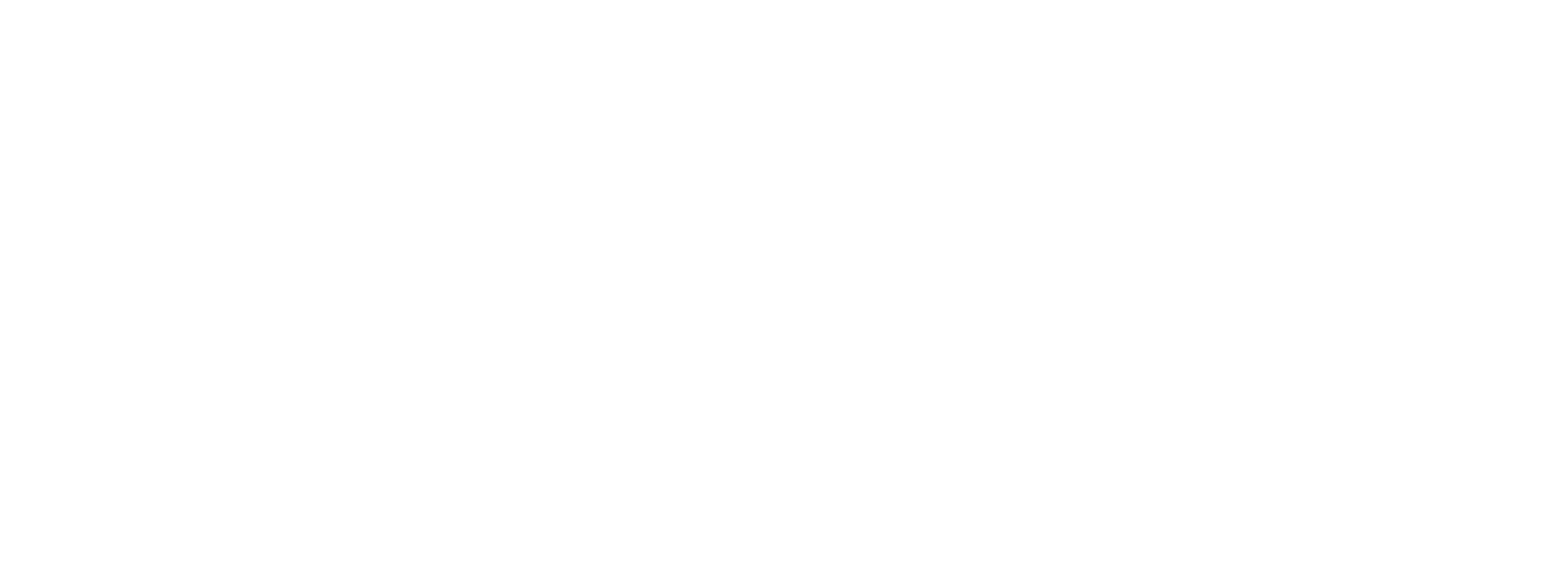 Big Fan logo