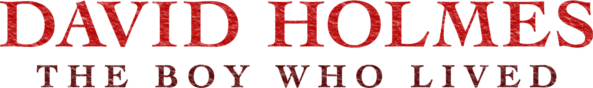David Holmes: The Boy Who Lived logo