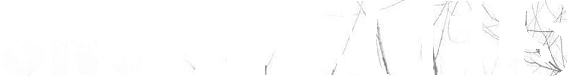 Snow Angels logo