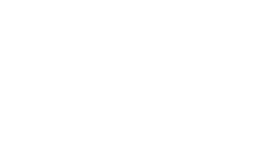 Polo logo