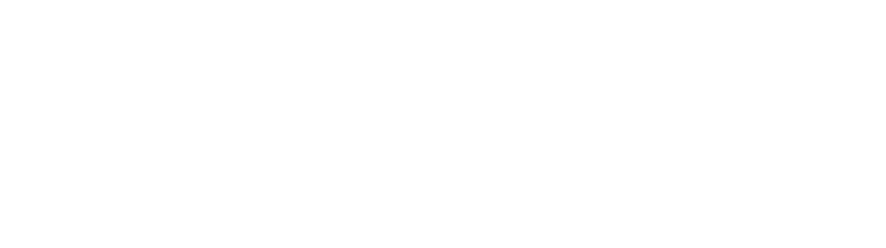Fair Play logo