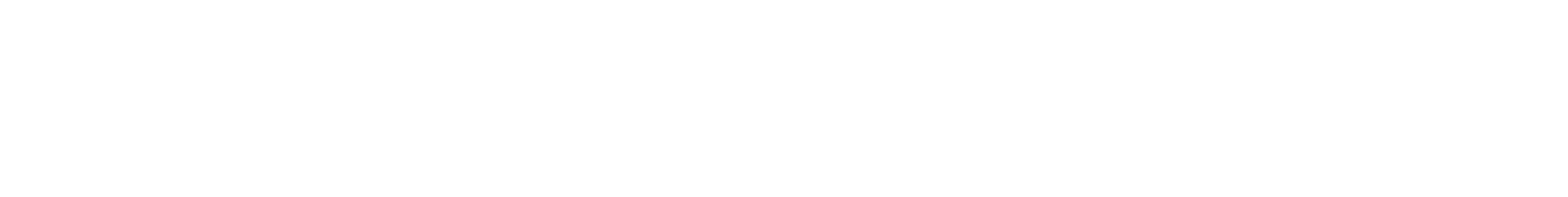 Chappaquiddick logo