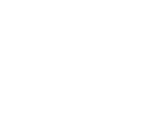 Female Agents logo