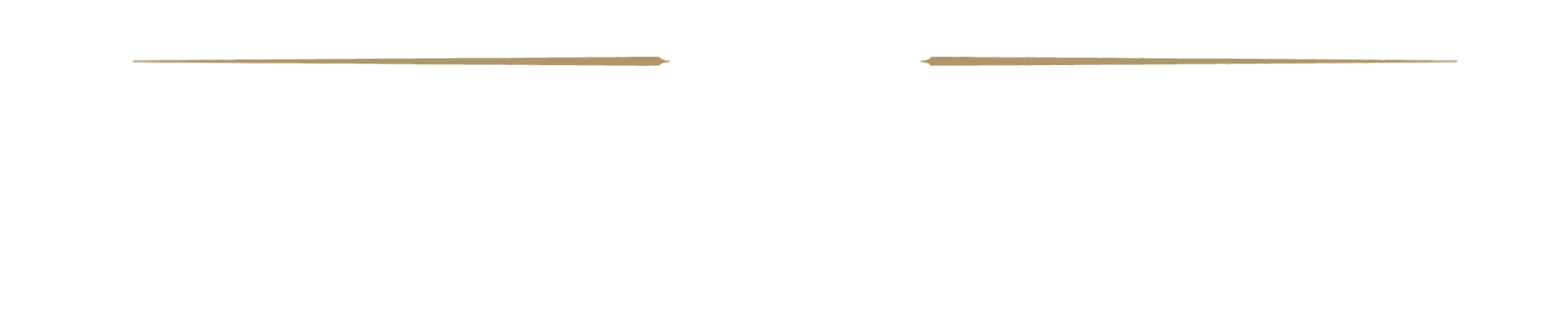 The Young Victoria logo