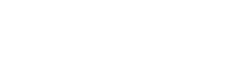 Bridal Fever logo
