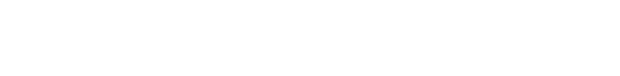 Back in Action logo