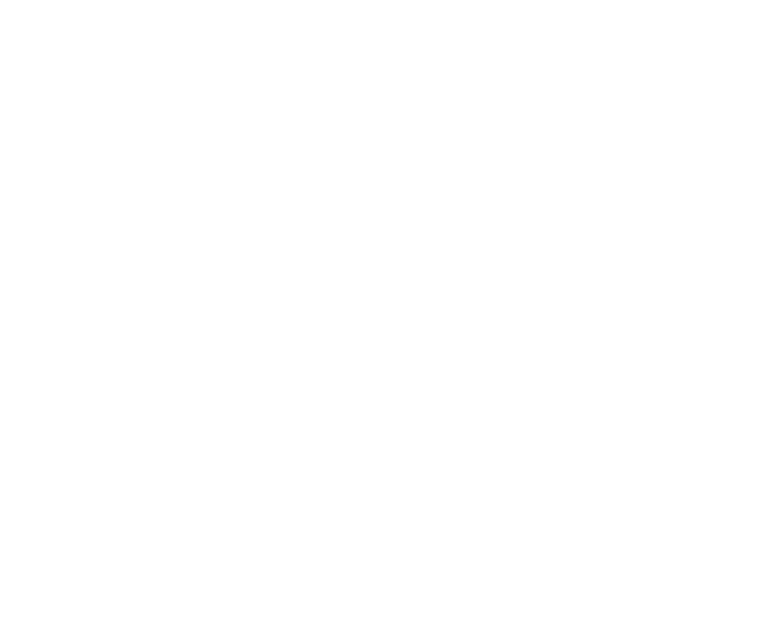 Objective: 500 Million logo