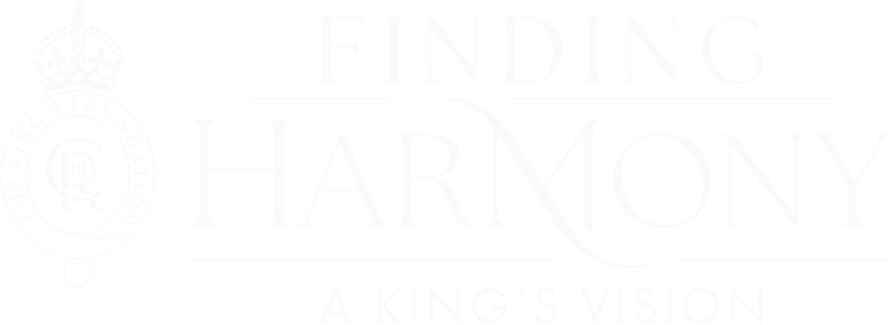 Finding Harmony: A King's Vision logo