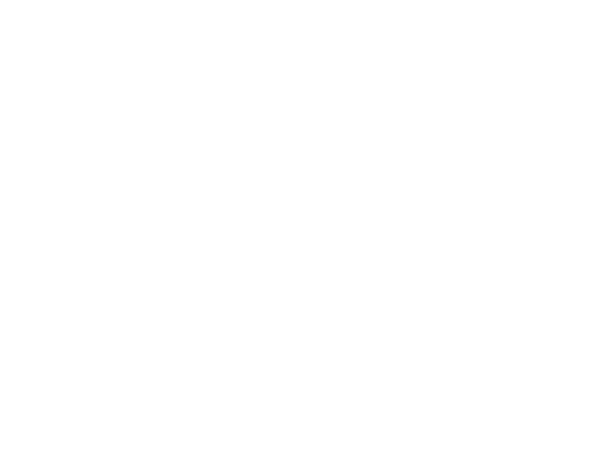 Bolt logo