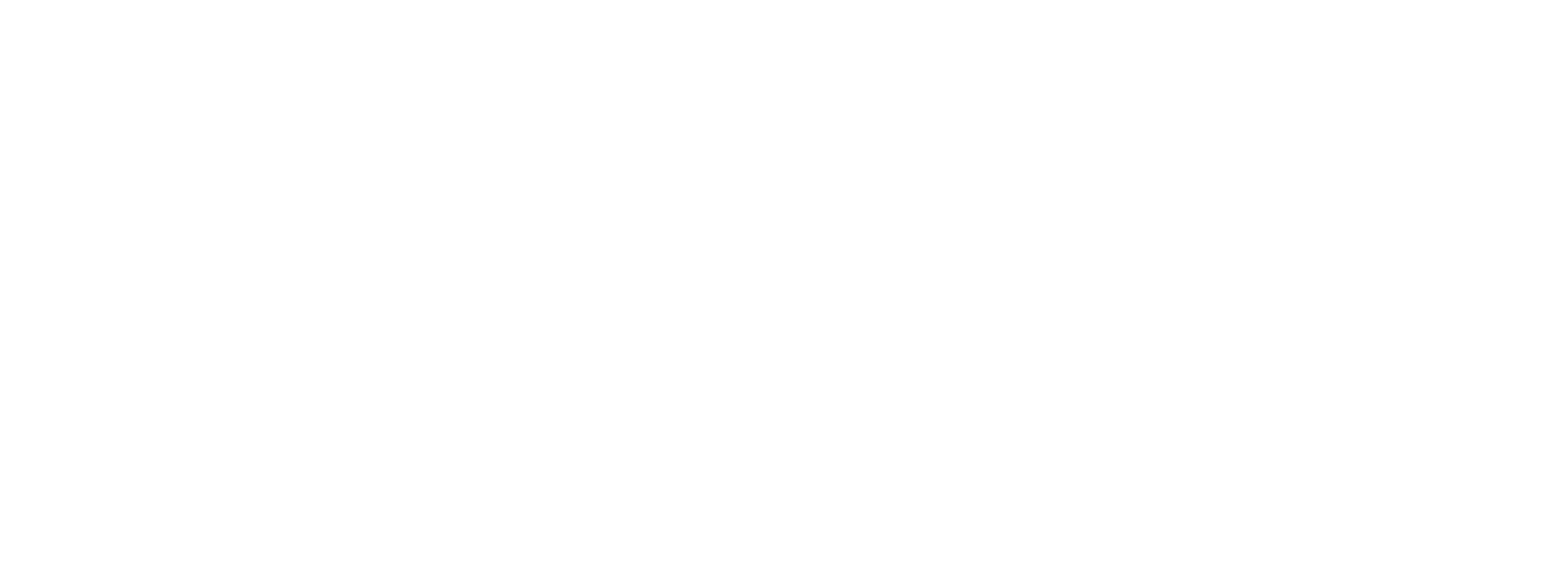 Stir of Echoes logo