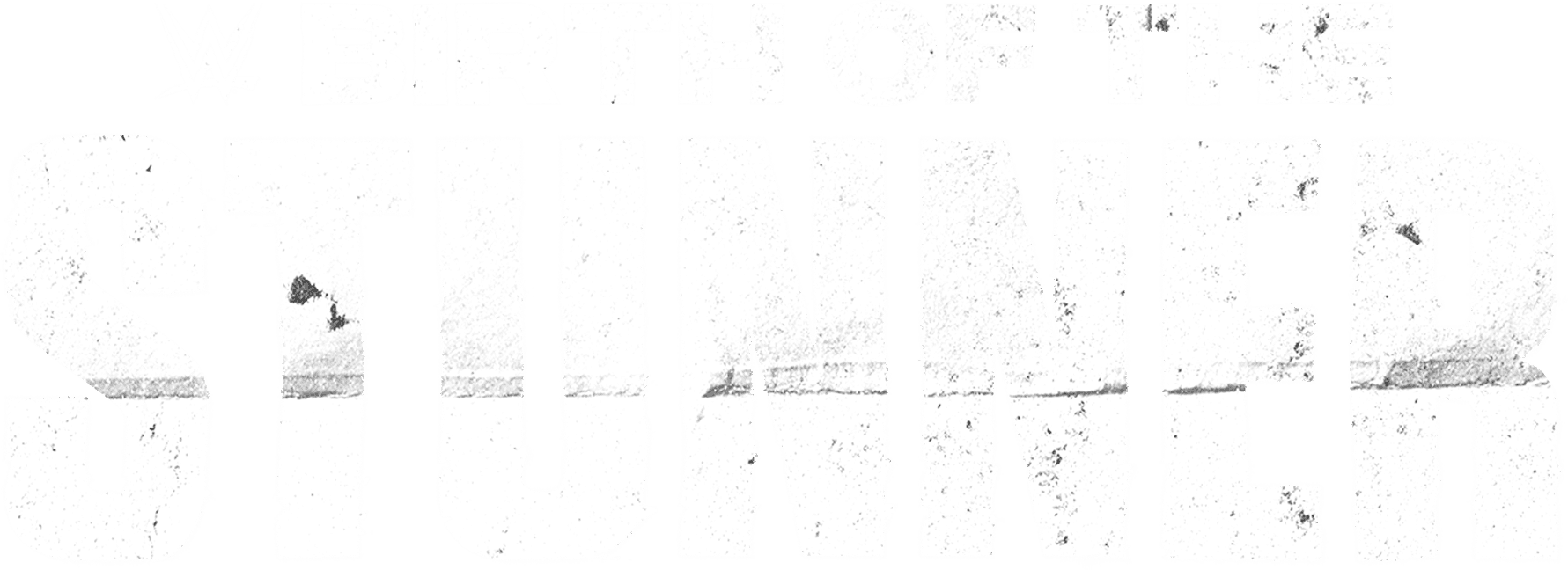 Birth of The Stunner logo