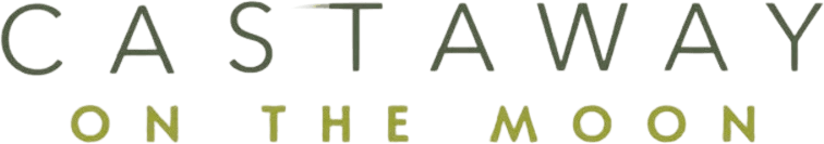 Castaway on the Moon logo