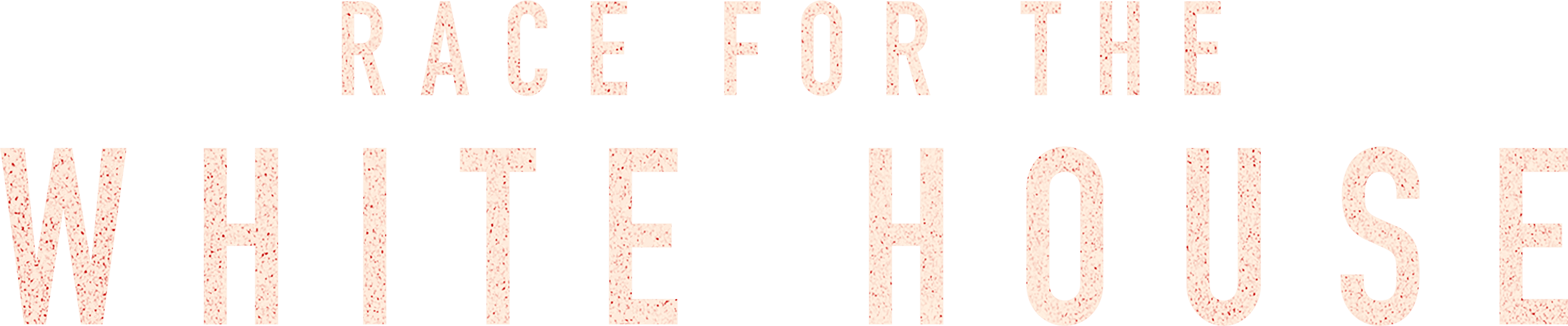 Race for the White House logo