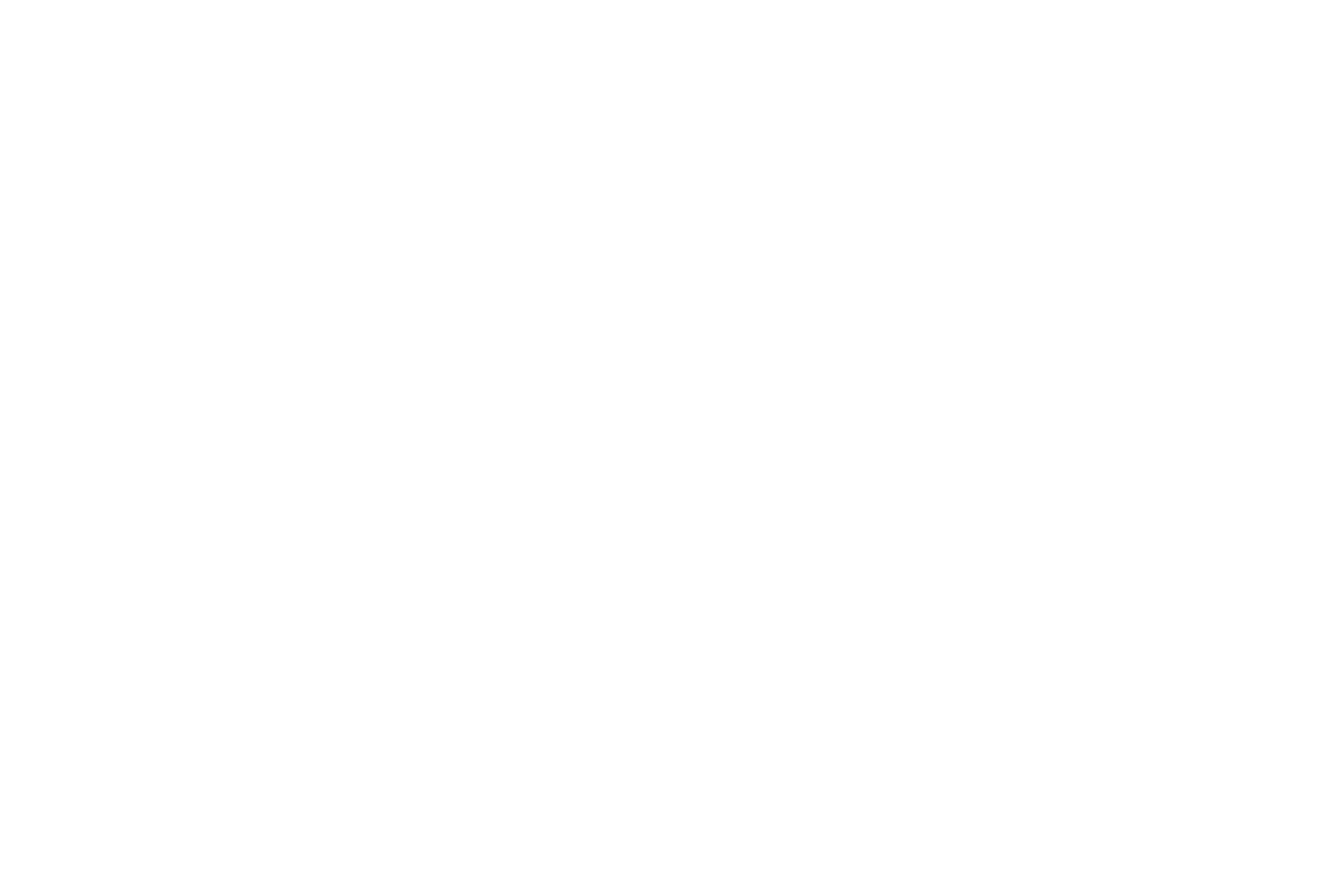 The Commandant's Shadow logo