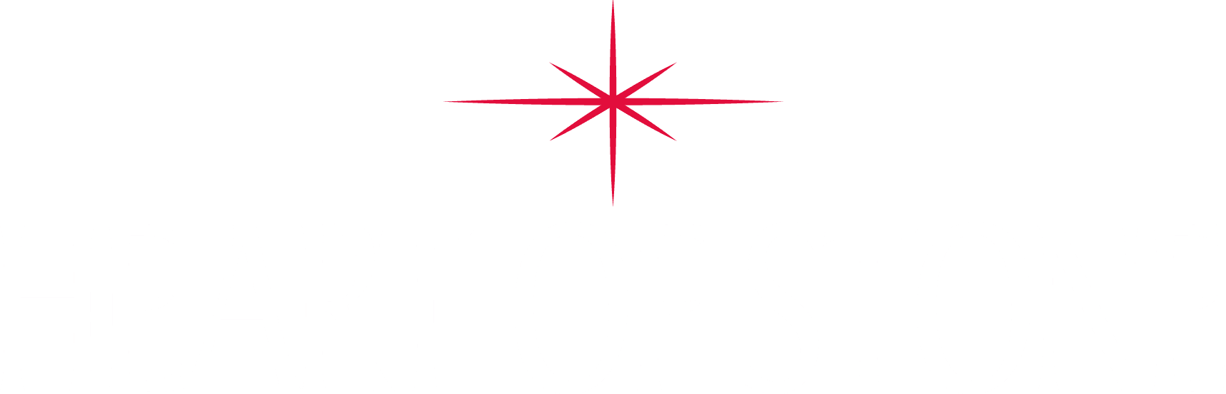 Heart of Stone logo