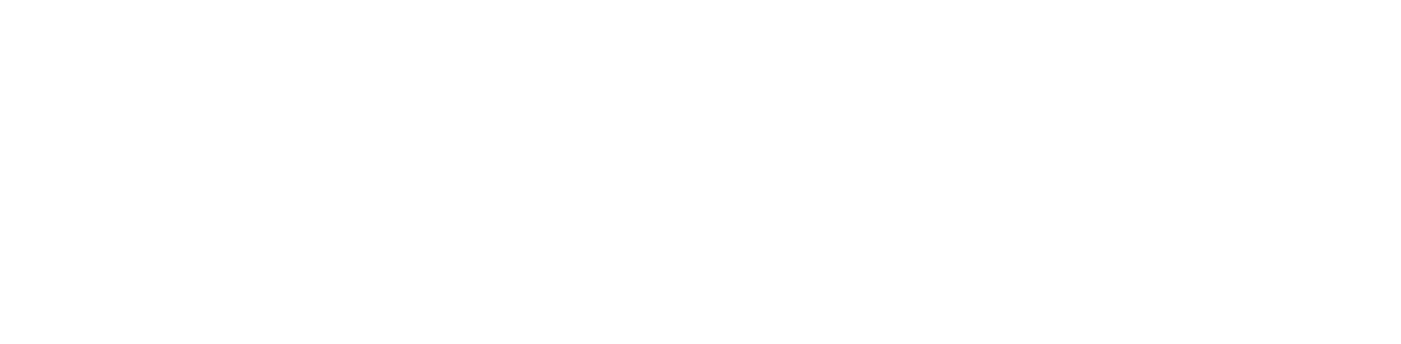 Falcon Rising logo