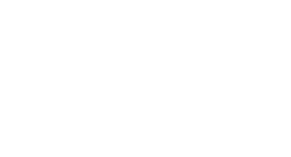Open Wide logo