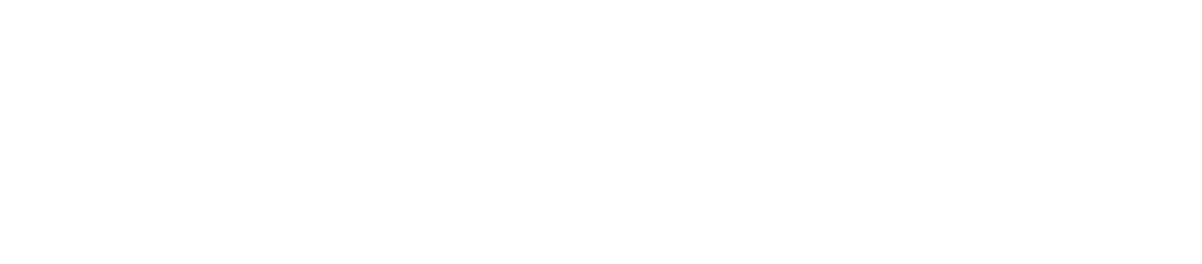 Assassins logo