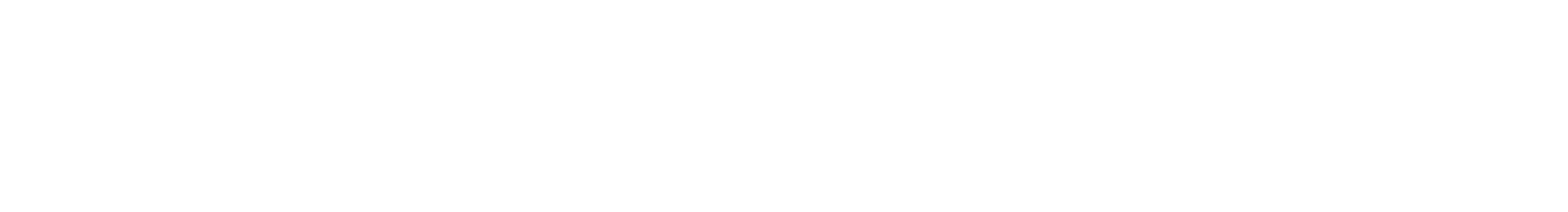 Chicago P.D. logo
