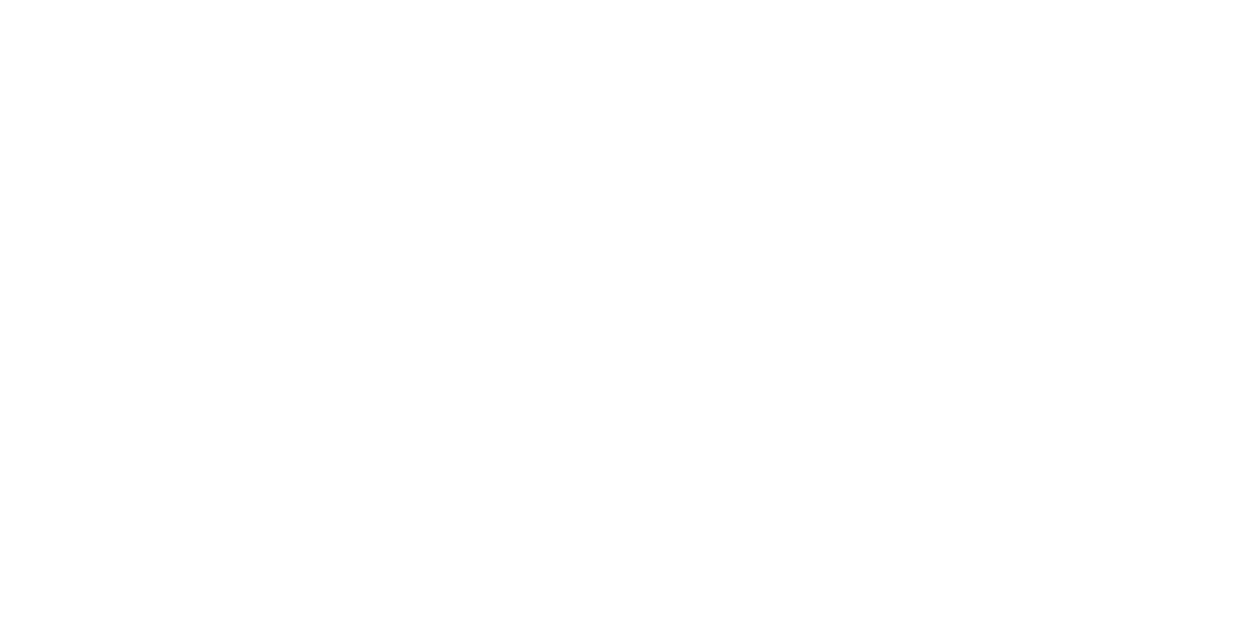 An Irish Angel logo