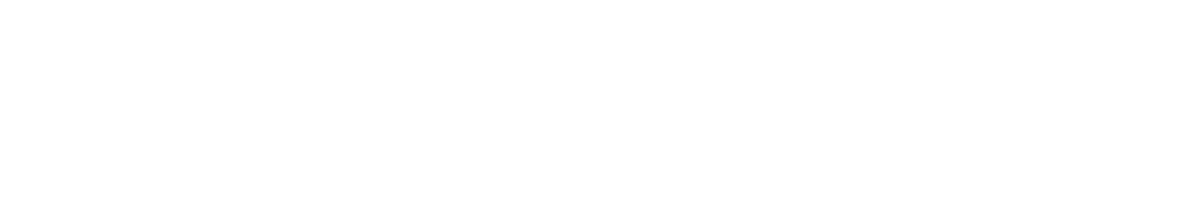 Man with a Plan logo