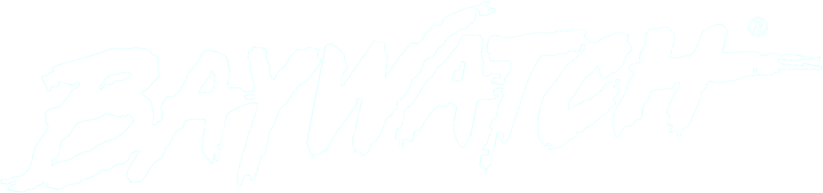 Baywatch logo