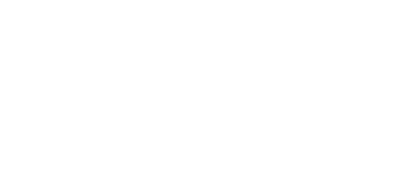 The Big House logo