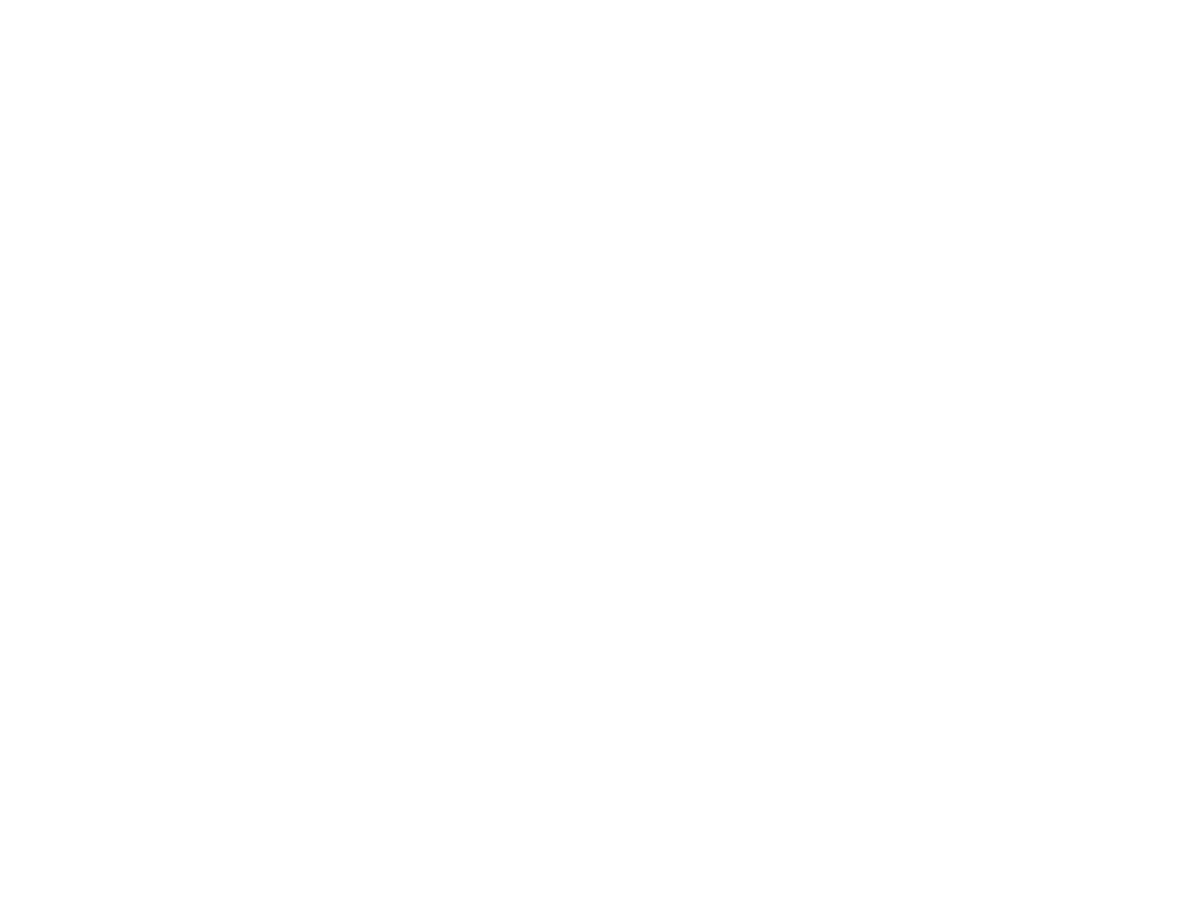 Sharp Stick logo
