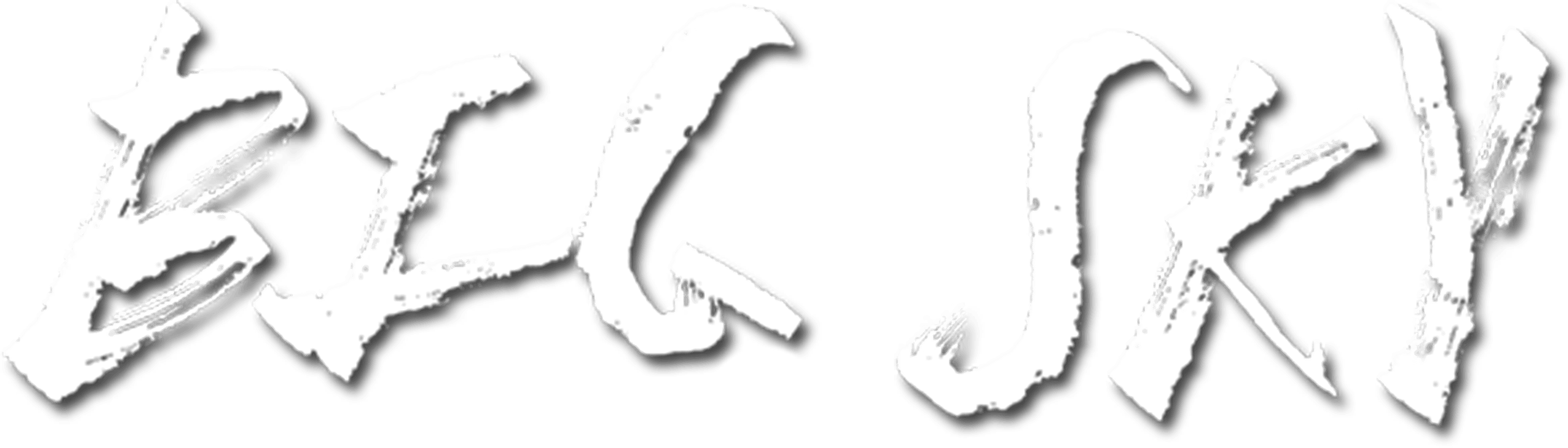 Big Sky logo