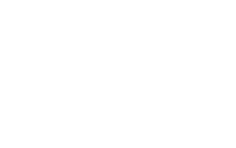 Junior Bonner logo