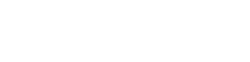 The Snow Sister logo