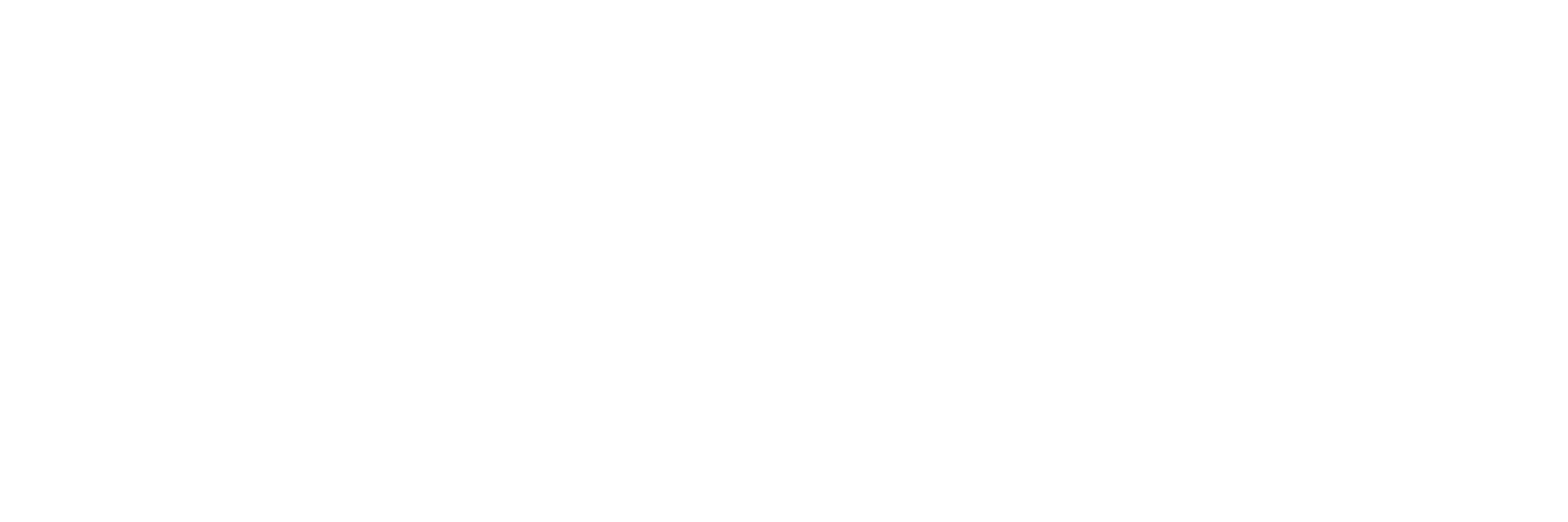 Wedding of a Lifetime logo