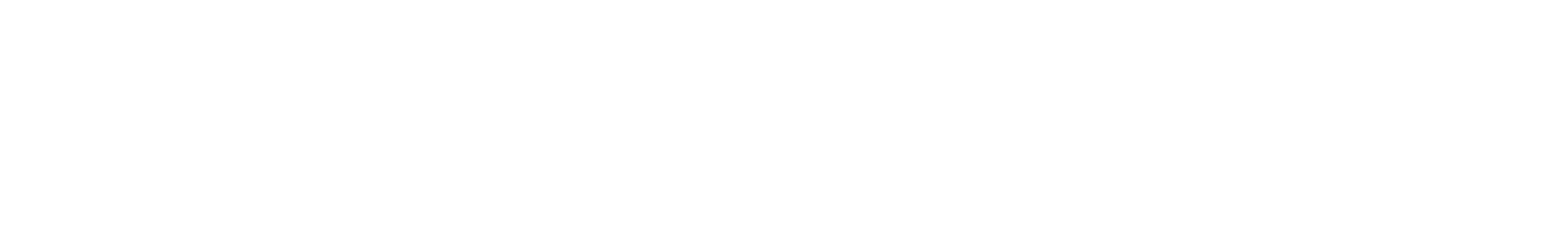 The Zelensky Story logo