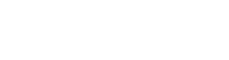 DMV logo