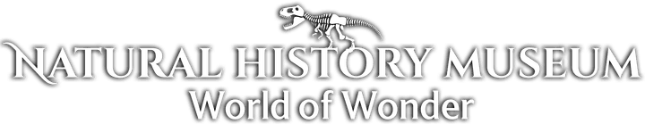 Natural History Museum: World of Wonder logo