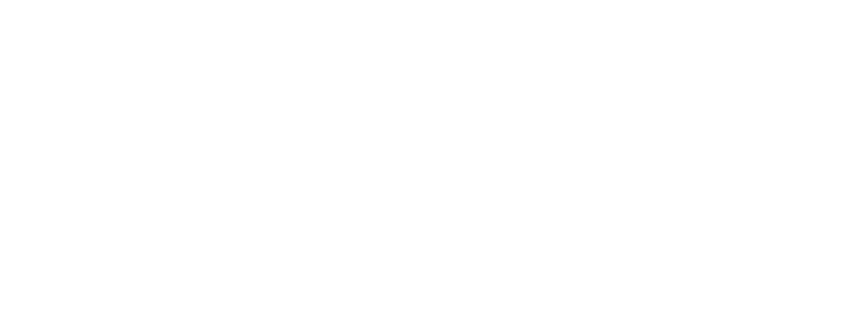 Fountain of Youth logo