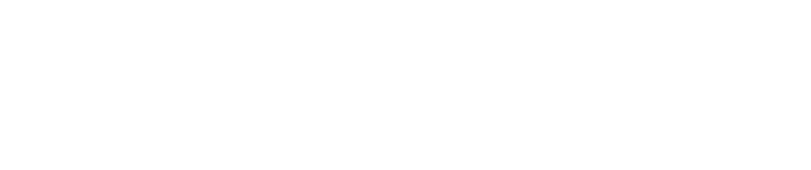 The Karate Kid logo