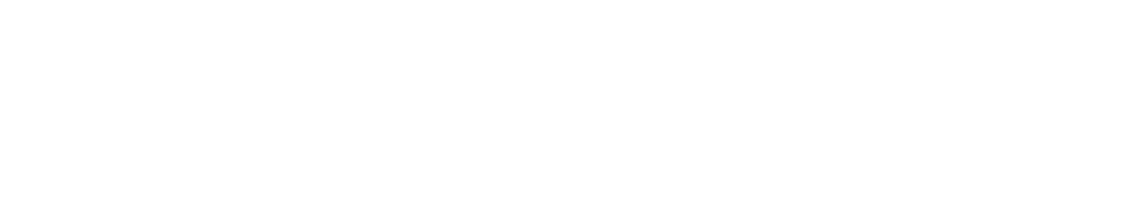 Cam Boy logo