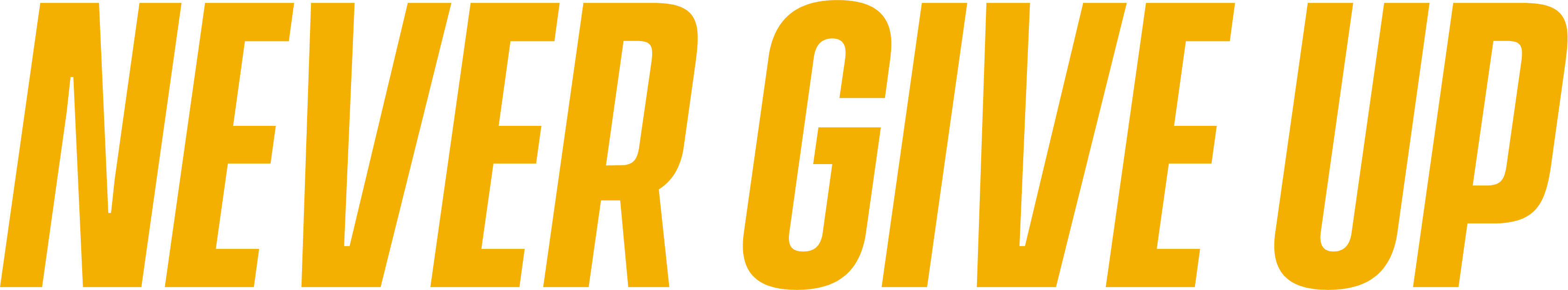 Never Give Up logo
