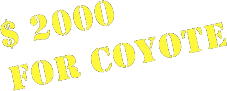 Two Thousand Dollars for Coyote logo