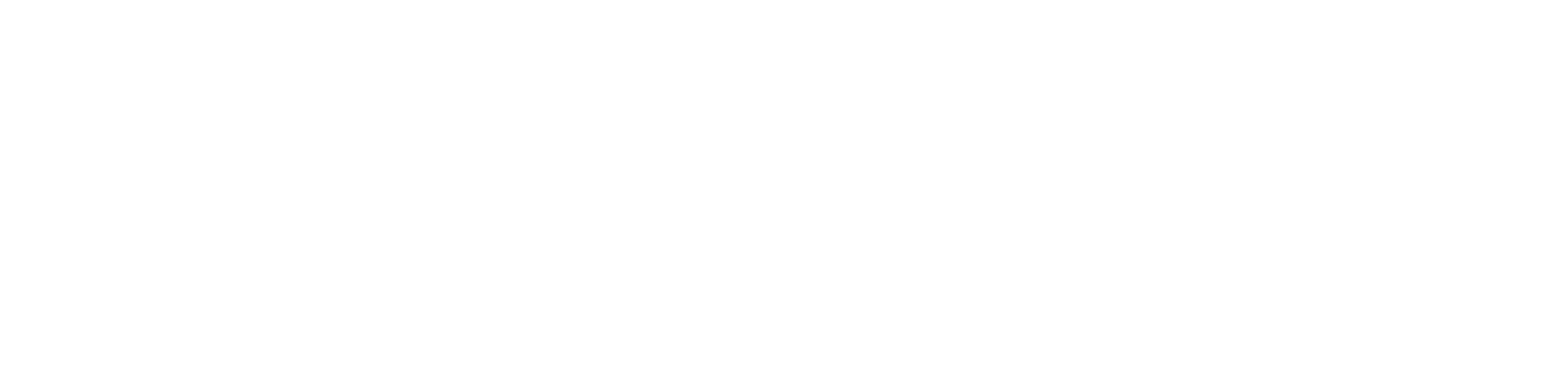 Russia 1985-1999: TraumaZone logo