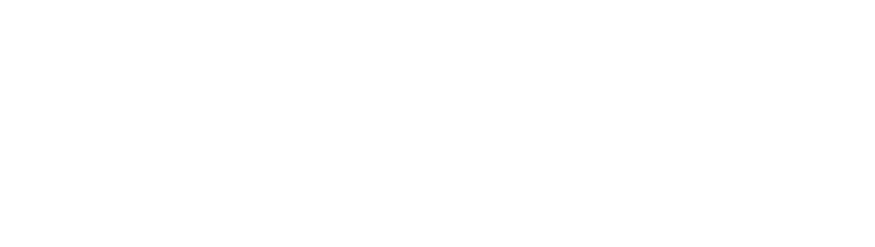 The Nevadan logo