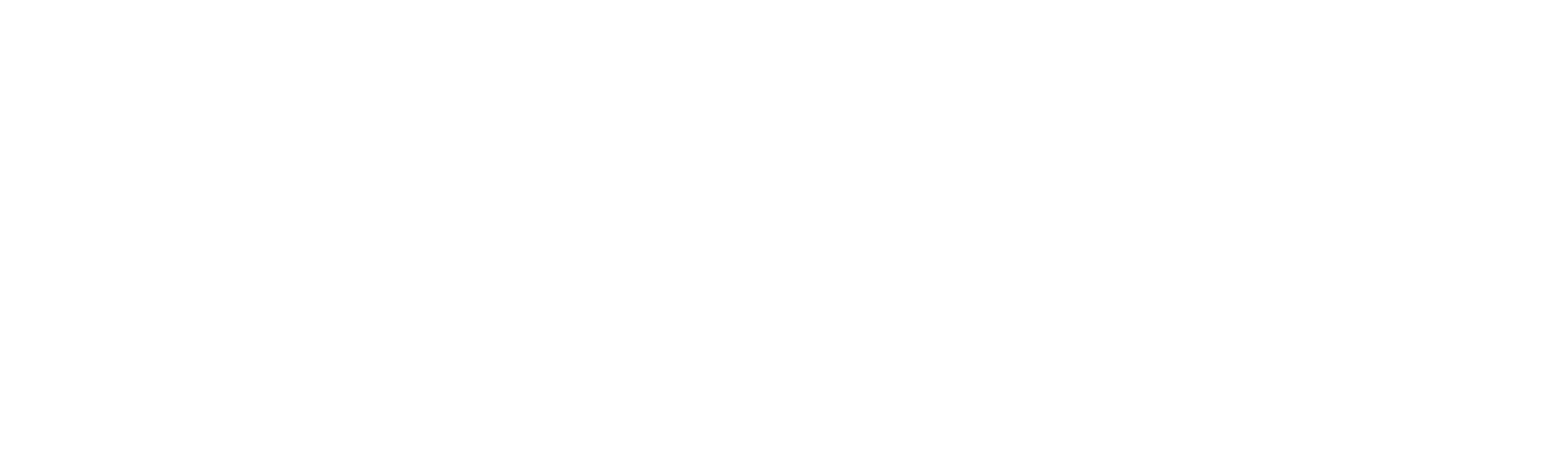 Second to None logo