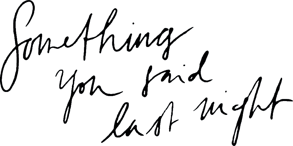 Something You Said Last Night logo